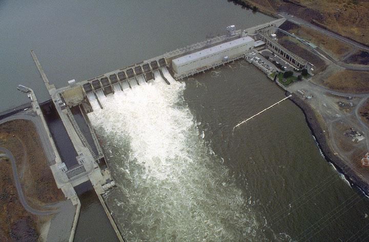 Another view on dam decisions: Support salmon and Native peoples