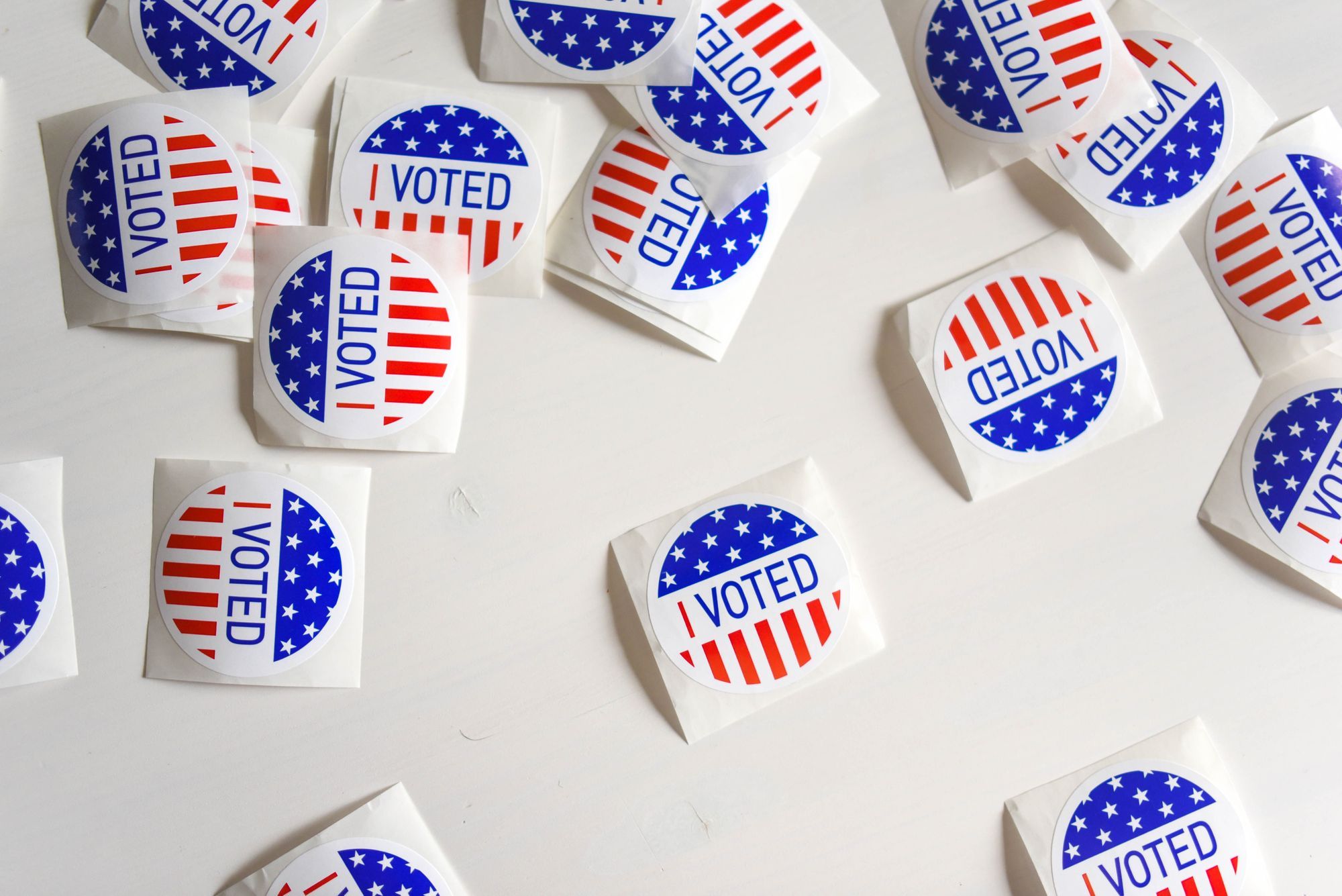 Ted’s Head: After you vote