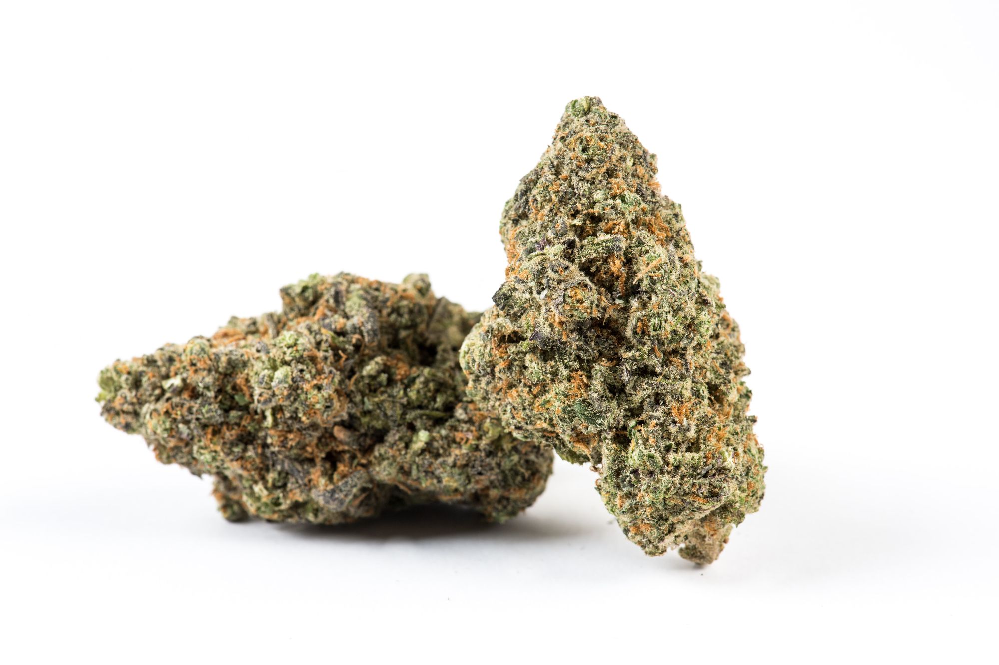 Five Richland councilmembers ignored hundreds of signatures in 2018, refusing to allow a public vote on marijuana sales. Two of them are up for re-election in November