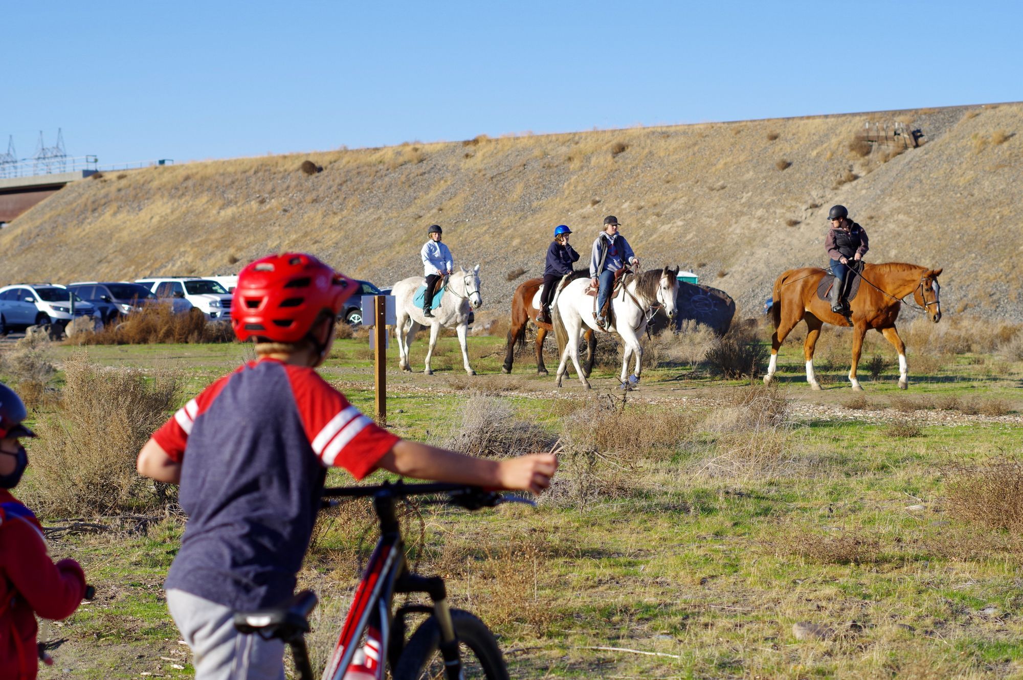 Image shows children on bikes waiting as a group of people passes by on horses
