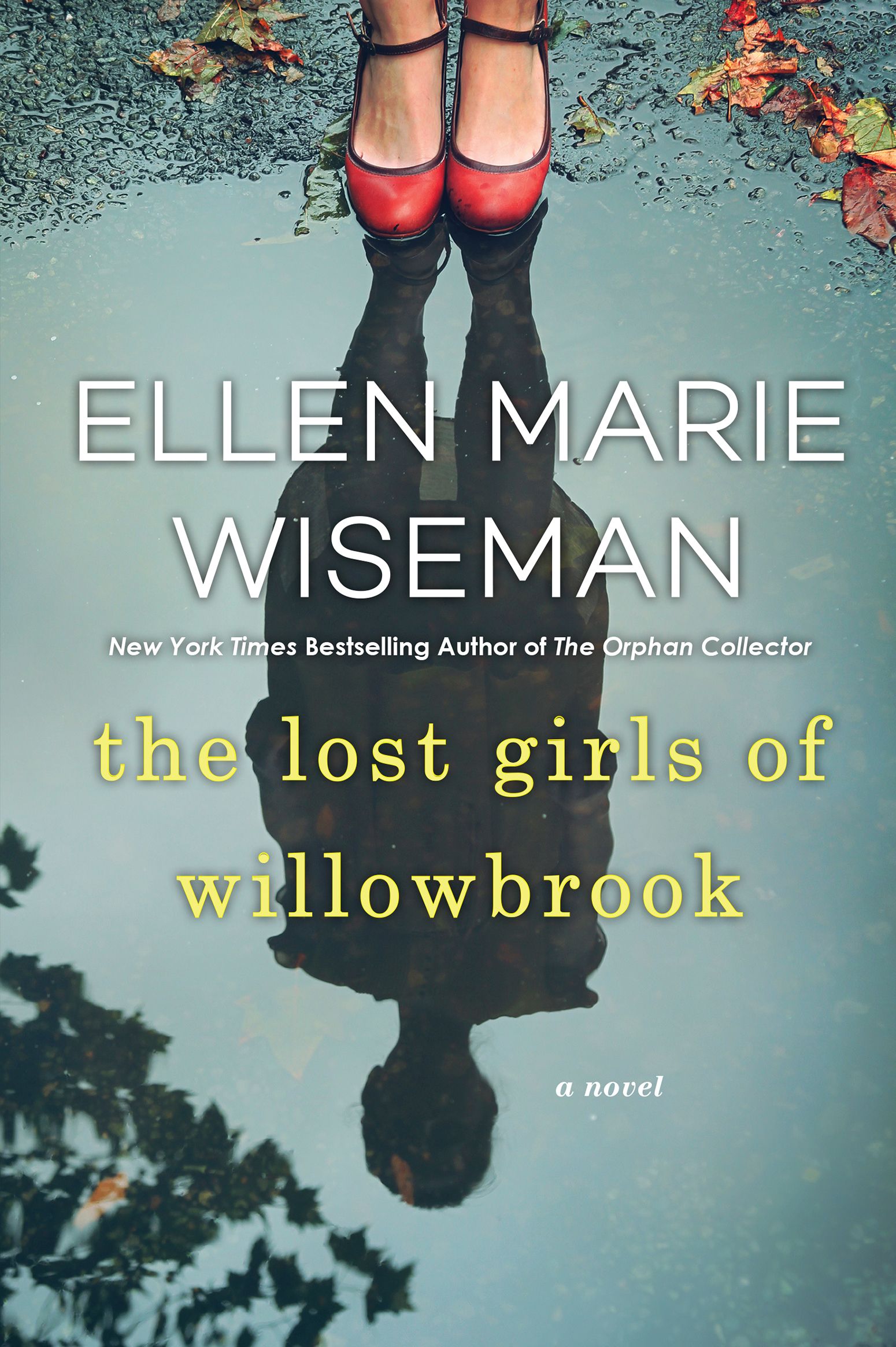 Cover of the book: the lost girls of willowbrook by Ellen Marie Wiseman