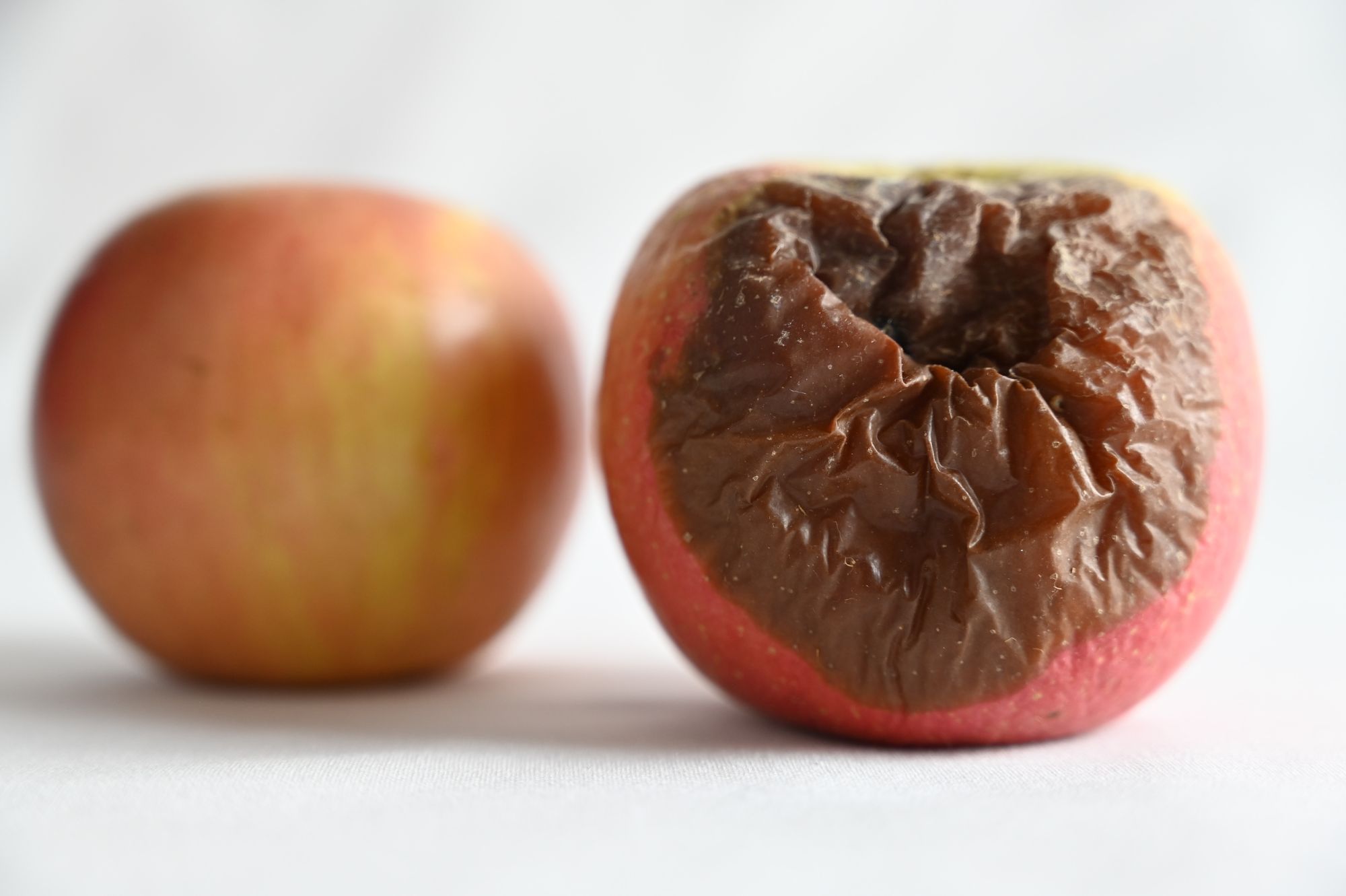 Photo of one good apple and one rotten apple
