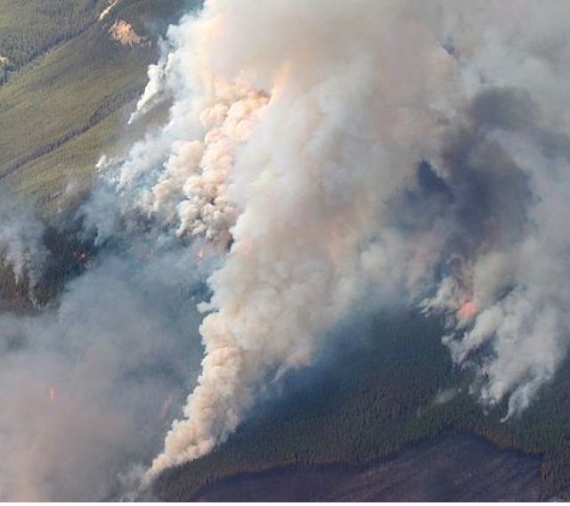 An image of an arial view of a forest fire in Canada, the forest is burning and there is a lot of smoke billowing into the air.