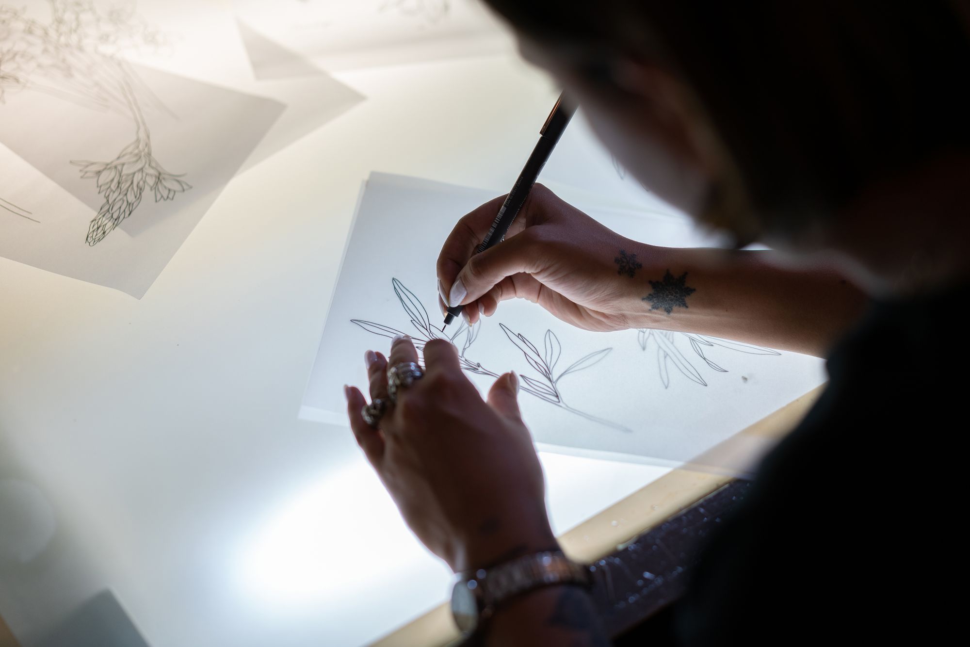 An over-the-shoulder image of a woman wearing rings and a watch drawing olive leaves on a tracing table.