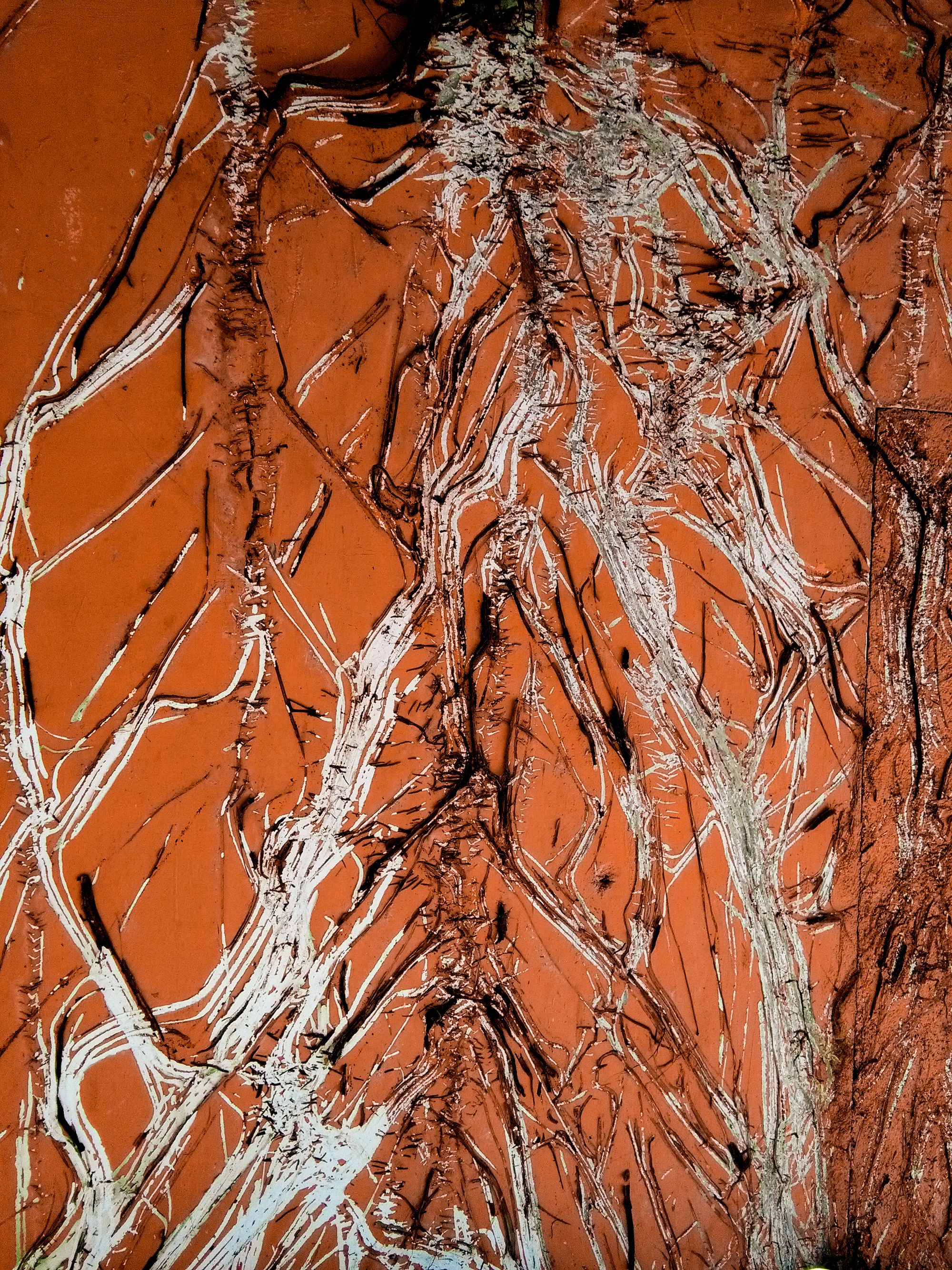 An image of branches on an orange background.