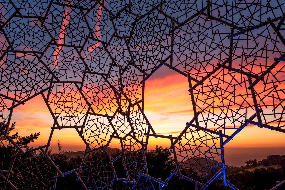 An image of a hexagonal pattern over the background of a sunset and trees.