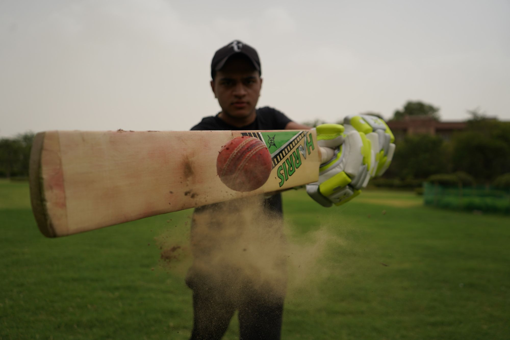How cricket saved the day