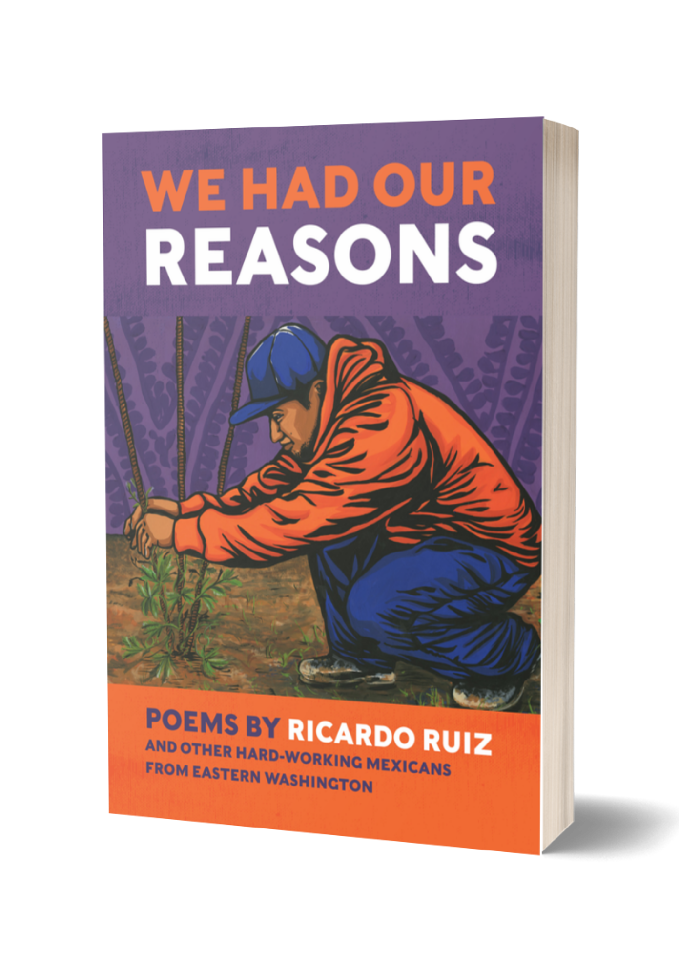 We Had Our Reasons / Teníamos Nuestras Razones