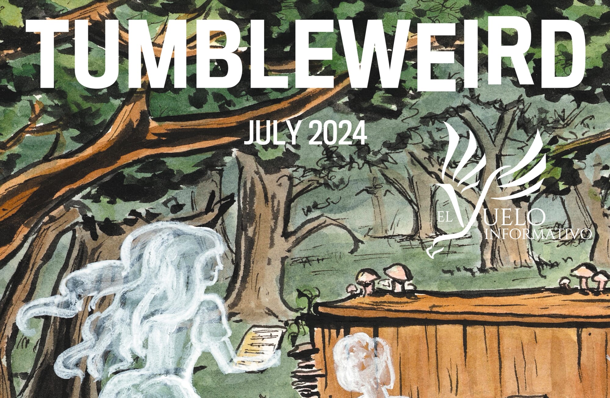 July 2024: A tale of two festivals
