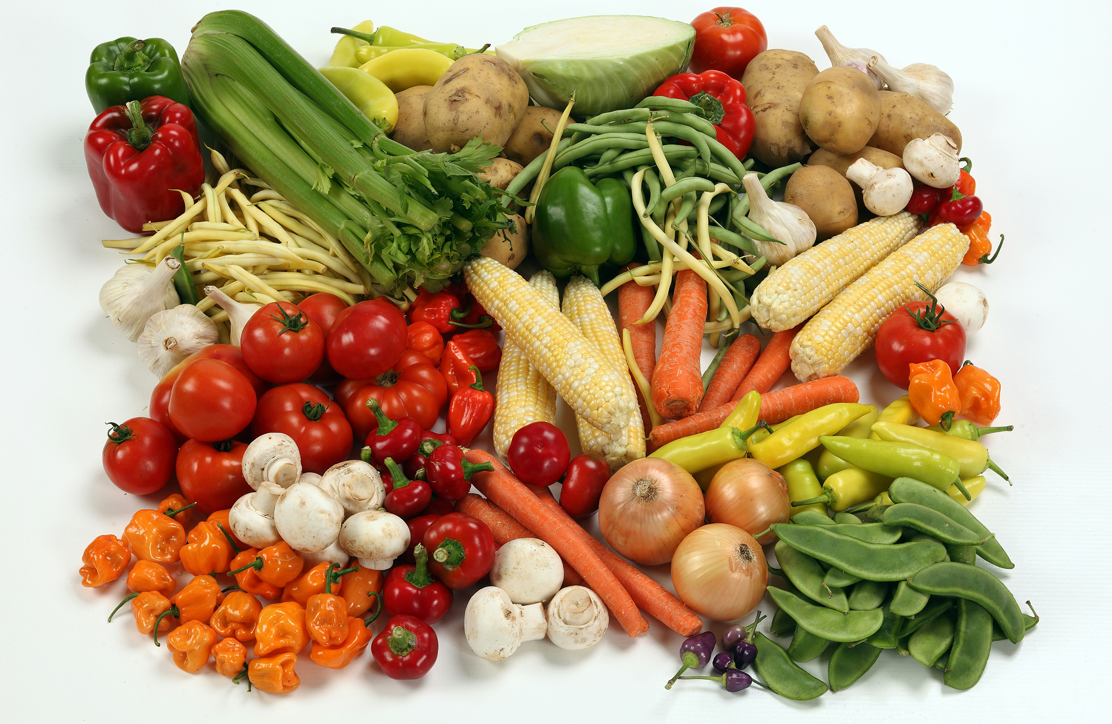 Grow local with Tri-Cities Food Co-op