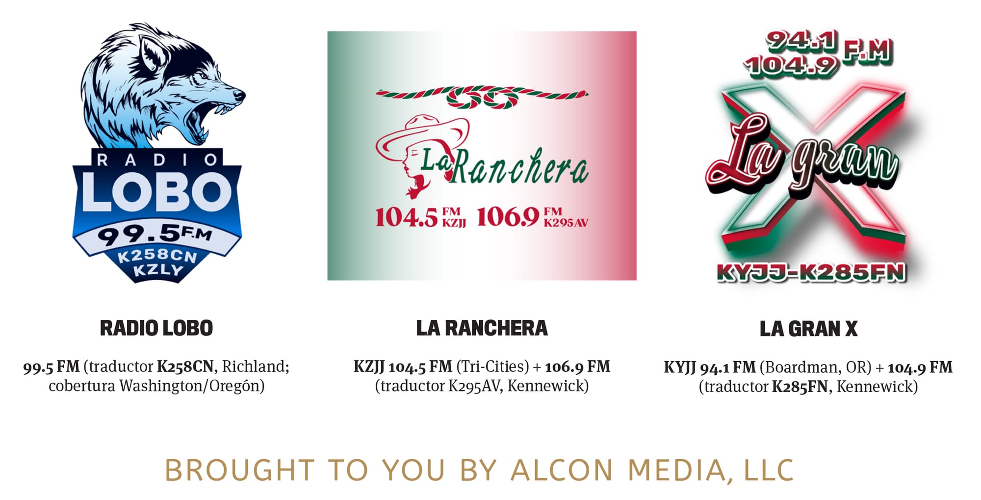 LAS ELECCIONES GENERALES 2025: COBERTURA ESPECIAL