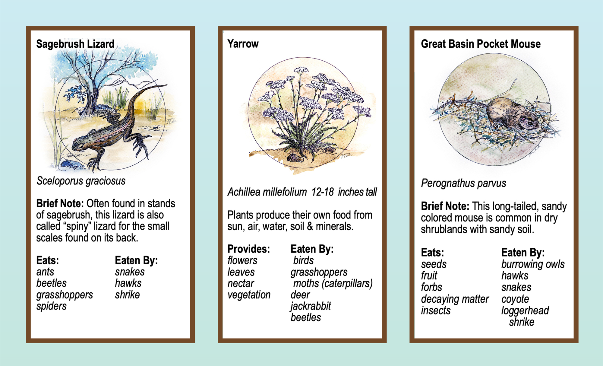 Boots in the Basin: Jane Goodall was right.