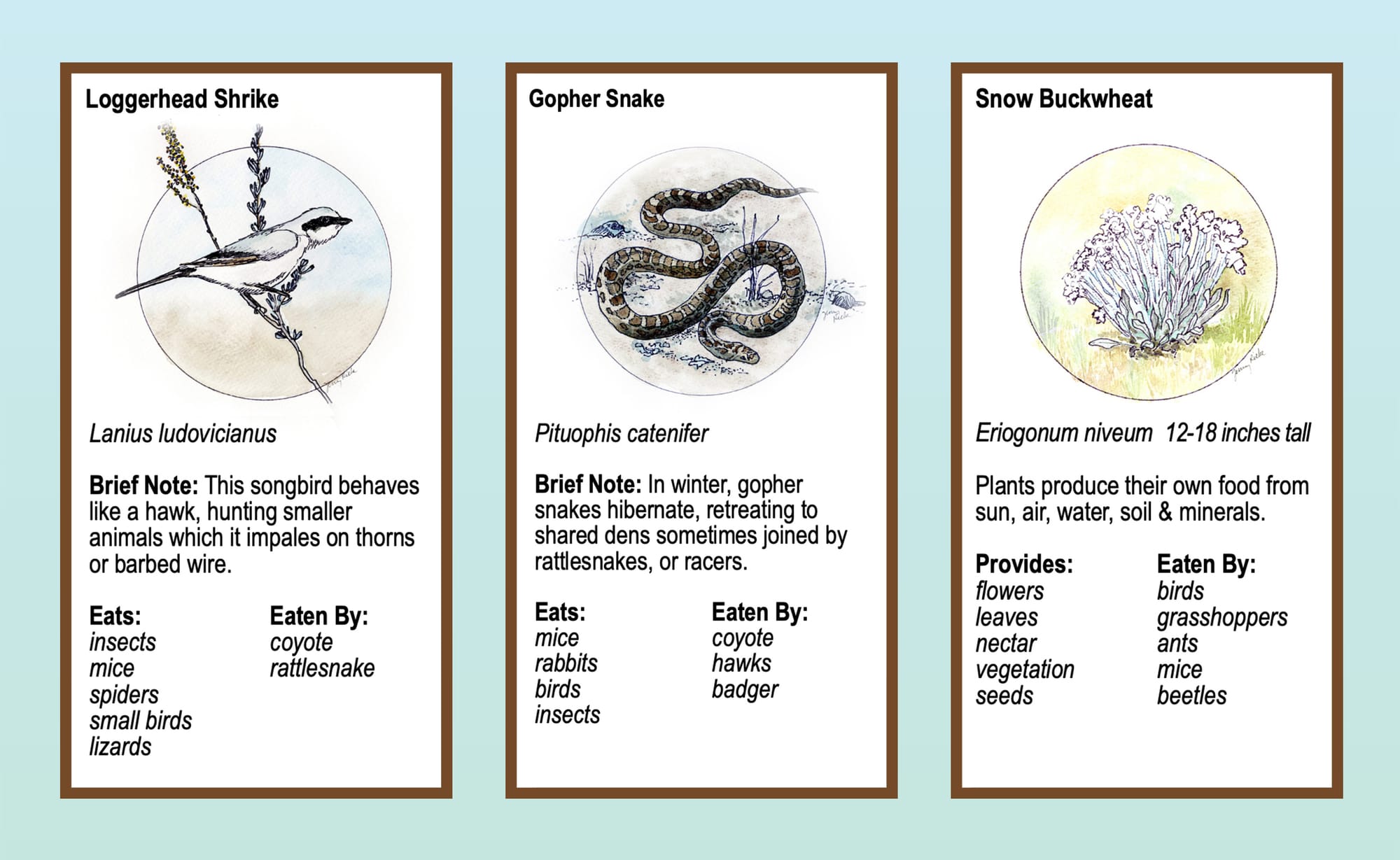 Boots in the Basin: Slow time
