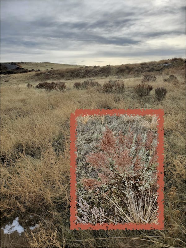 Becoming habitat