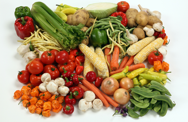 Grow local with Tri-Cities Food Co-op