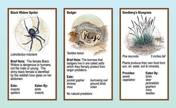 Boots in the Basin: Choose hope.