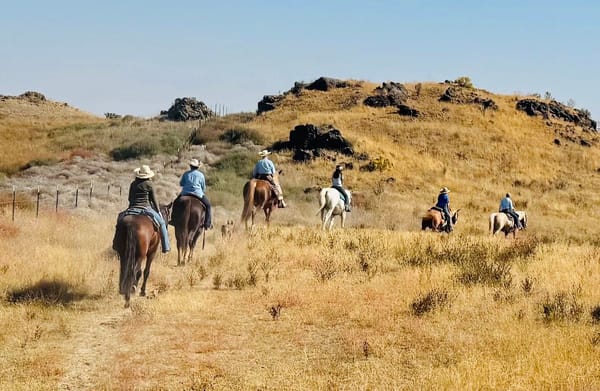 Boots in the Basin: The shrub steppe is calling
