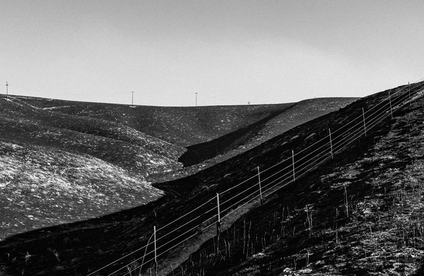 T(H)E L(AN)D (FO)R THE SAC(R)IFICE(D)